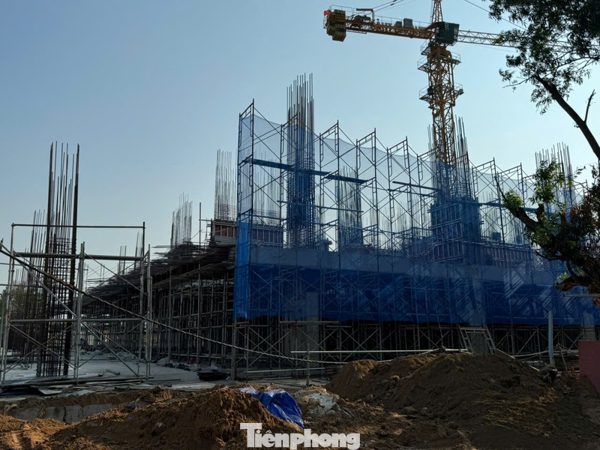 Giá căn hộ ở TPHCM giảm mạnh sau sáp nhập