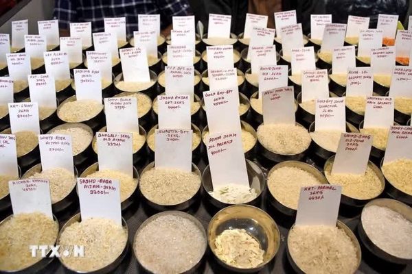 Giá gạo Ấn Độ lên mức cao nhất trong hơn 1 năm qua