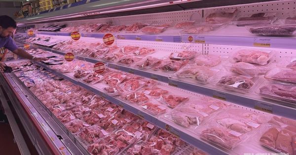 Giá heo hơi hôm nay 11.9.2026: Rời mốc 60.000 đồng/kg