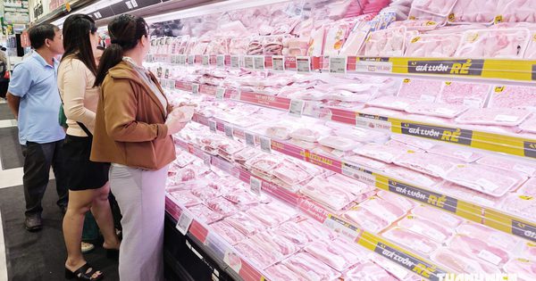 Giá heo hơi hôm nay 12.9.2026: Giảm nhẹ một vài nơi