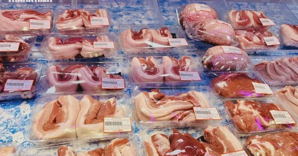 Giá heo hơi hôm nay 13.10.2026: Miền Bắc tiếp tục tăng