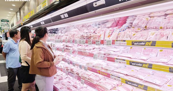 Giá heo hơi hôm nay 15.10.2026: Tiệm cận giá thành chăn nuôi