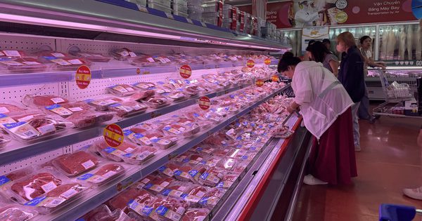 Giá heo hơi hôm nay 16.10.2026: Đã rơi xuống đáy?