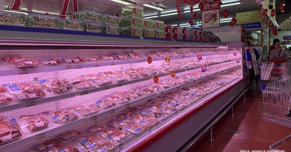 Giá heo hơi hôm nay 16.9.2026: Tăng nhẹ trở lại ở miền Bắc
