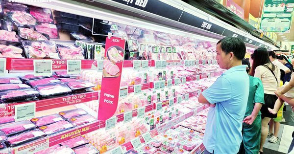 Giá heo hơi hôm nay 19.9.2026: Dao động nhẹ