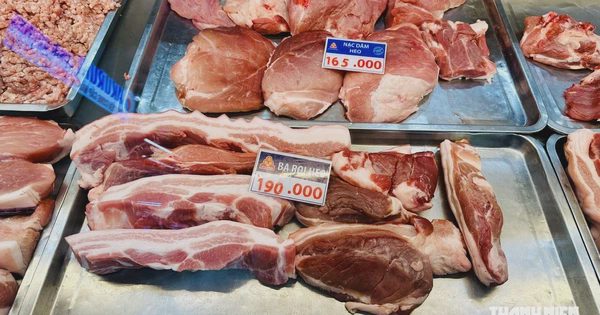 Giá heo hơi hôm nay 24.10.2026: Xuất hiện đáy mới
