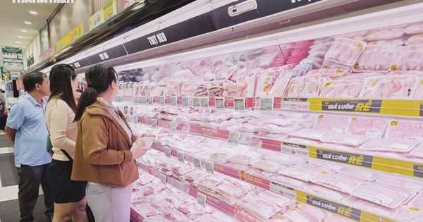 Giá heo hơi hôm nay 24.9.2026: Giảm ở miền Trung và miền Nam