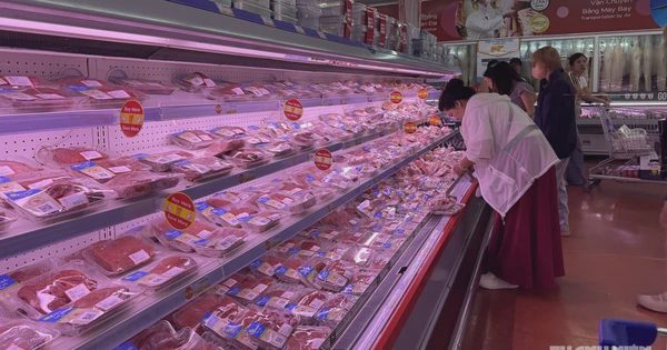 Giá heo hơi hôm nay 30.10.2026: Sắp rơi xuống đáy