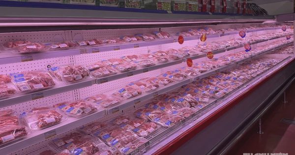 Giá heo hơi hôm nay 4.9.2026: Tăng nhẹ ở miền Bắc