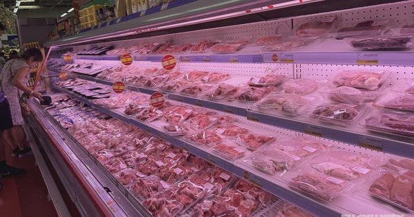 Giá heo hơi hôm nay 5.10.2026: Đà giảm tạm chững lại