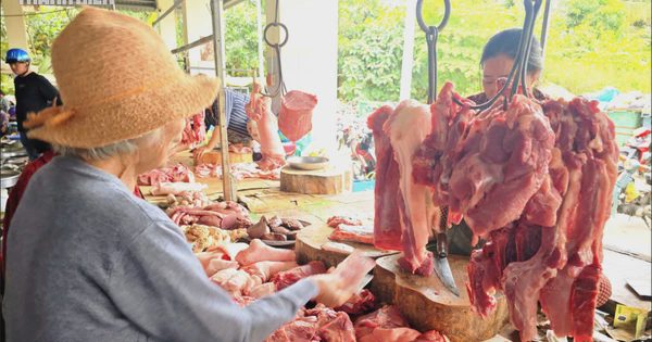 Giá heo hơi hôm nay 5.9.2026: Thị trường lặng sóng