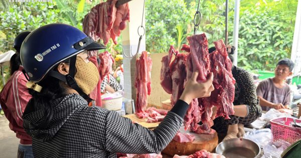Giá heo hơi hôm nay 6.10.2026: Giảm mạnh nhiều nơi