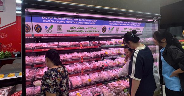 Giá heo hơi hôm nay 9.10.2026: Lùi gần về mức 51.000 đồng/kg