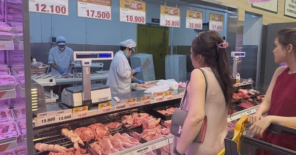 Giá heo 'vạ lây' vì thịt bẩn