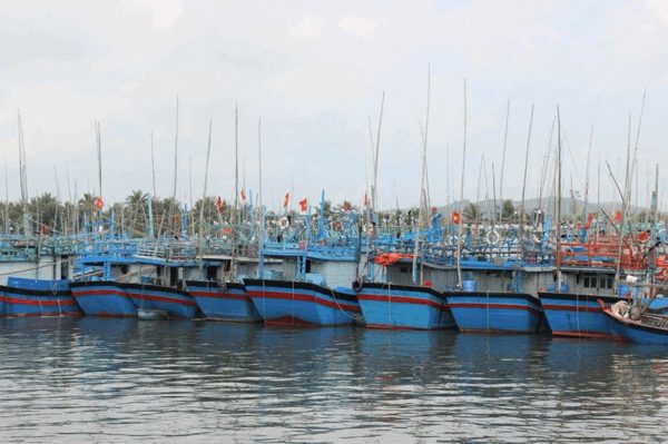 Gia Lai siết quản lý đội tàu, ngăn chặn vi phạm khai thác IUU