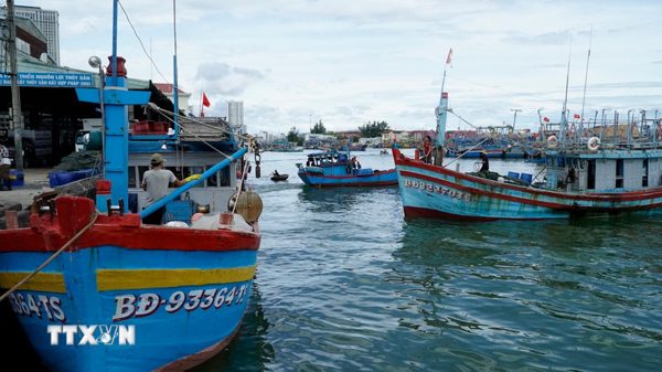 Gia Lai siết quản lý tàu cá không đủ điều kiện hoạt động