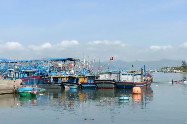 Gia Lai siết quản lý tàu cá, quyết gỡ ‘thẻ vàng’ IUU
