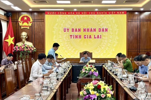 Gia Lai tăng tốc số hóa, làm sạch dữ liệu hơn 3,19 triệu thửa đất