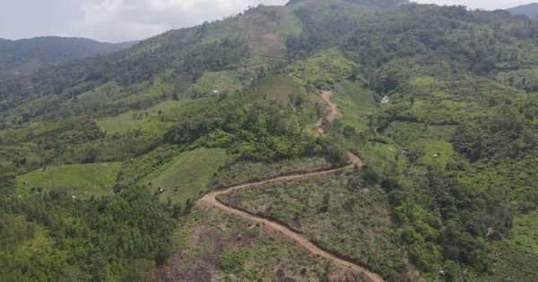 Gia Lai thanh tra việc giao đất, giao rừng ở xã Sró