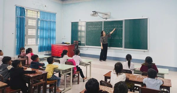Gia Lai yêu cầu giải trình việc 3 nguyên hiệu trưởng được bố trí làm giáo viên