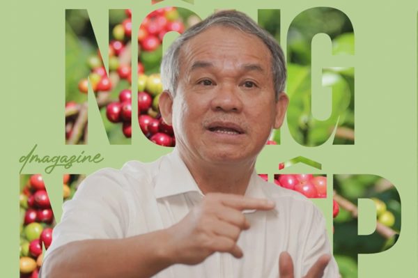 Giá nông sản hôm nay 19/9: Sầu riêng giảm, vườn cà phê của Bầu Đức mở rộng