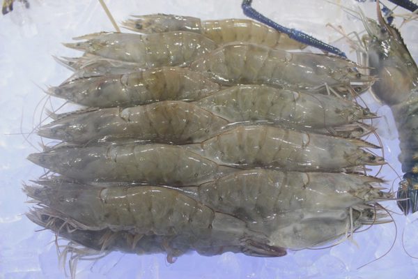 Giá nông sản hôm nay 30/8: Cà phê robusta giảm, tôm thẻ biến động mạnh