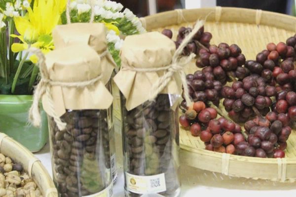 Giá nông sản hôm nay 4/9: Cà phê đồng loạt giảm, giá sắn tăng mạnh