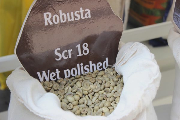 Giá nông sản hôm nay 5/9: Robusta tăng mạnh, ớt hiểm đỏ tiêu thụ nhanh