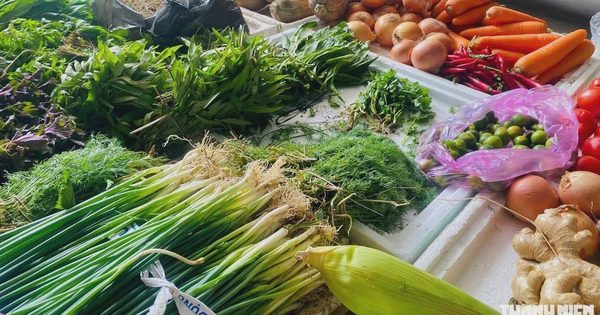 Giá rau tại Hà Nội tăng cao, đắt ngang thịt