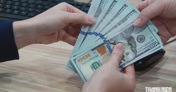 Giá USD hôm nay 10.10.2026: Giảm mạnh trong tuần