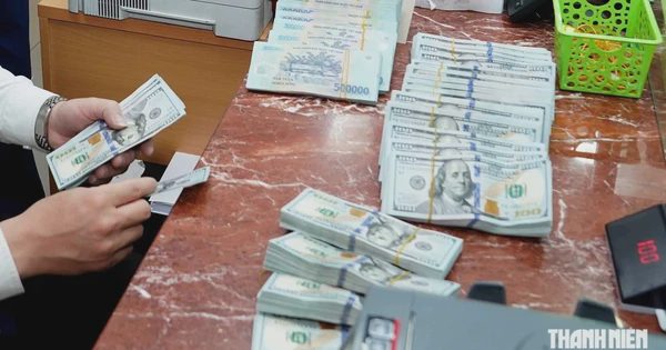 Giá USD hôm nay 12.9.2026: Giảm mạnh trong tuần qua