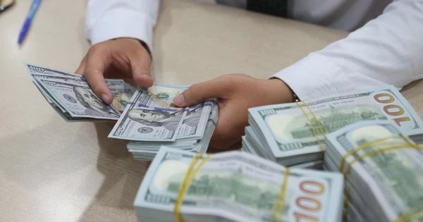 Giá USD hôm nay 19.9.2026: Đô la trong ngân hàng tăng