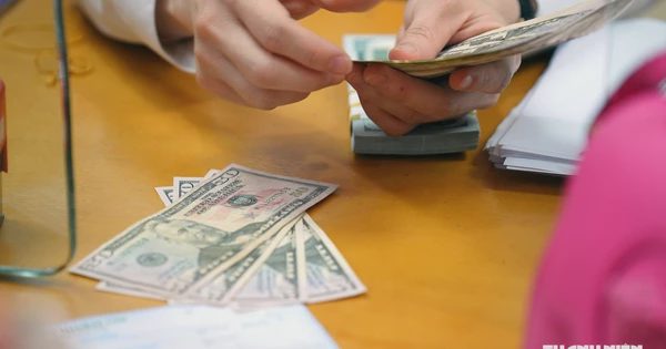 Giá USD hôm nay 20.9.2026: Tăng cao trong khi euro, yen Nhật lao dốc