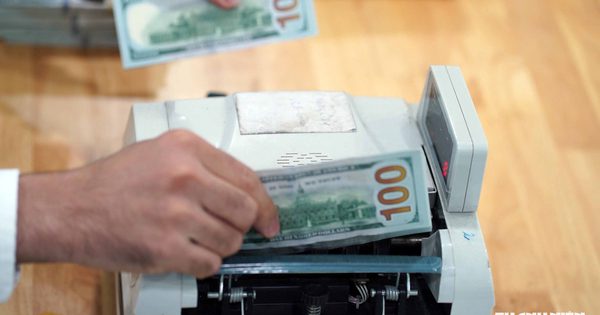 Giá USD hôm nay 4.10.2026: Biến động nhẹ trong tuần khi euro, bảng Anh tiếp tục giảm
