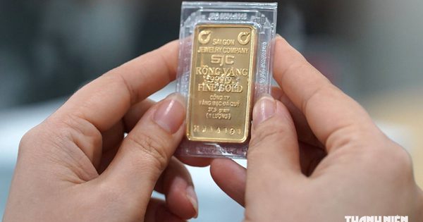 Giá vàng hôm nay 14.9.2026: Biến động nhẹ chờ tin lãi suất