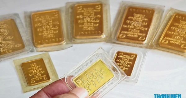 Giá vàng hôm nay 19.10.2026: Vàng miếng SJC đắt hơn thế giới hơn 12 triệu đồng/lượng