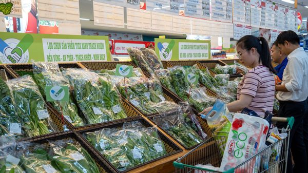Giải bài toán an toàn bếp ăn tập thể: Lá chắn từ chuẩn ‘Tick xanh trách nhiệm’