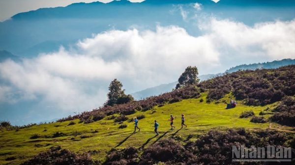 Giải chạy địa hình vượt núi Vietnam Mountain Marathon 2026 hứa hẹn bùng nổ tại Sa Pa