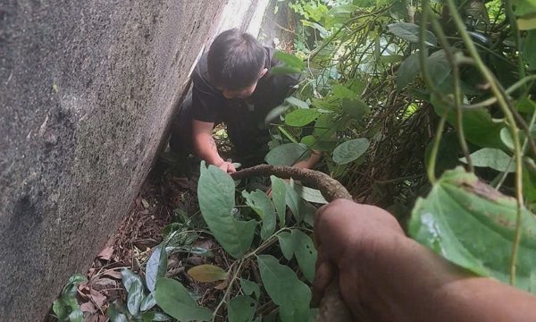 Giải cứu du khách bị lạc trên núi Bà Đen