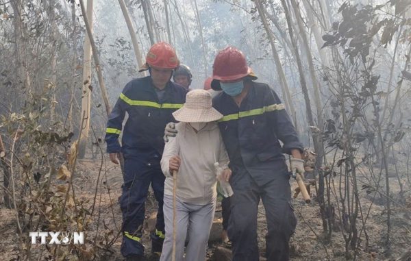 Giải cứu hai người mắc kẹt trên đỉnh núi trong vụ cháy rừng ở Quy Nhơn
