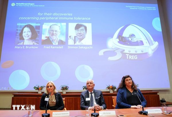Giải mã quy trình lựa chọn chủ nhân giải thưởng Nobel