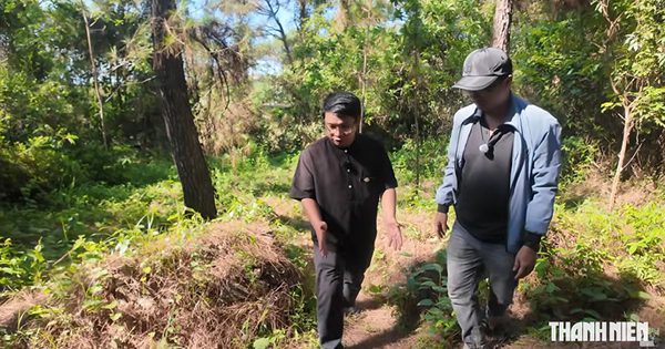 Giải mã văn bia nghi thuộc lăng vua Quang Trung: Nghi vấn lăng Ba Vành ở Huế