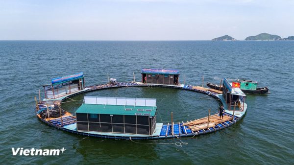 Giải pháp tăng trưởng hai con số: Không thể chỉ trông vào vốn và đầu tư