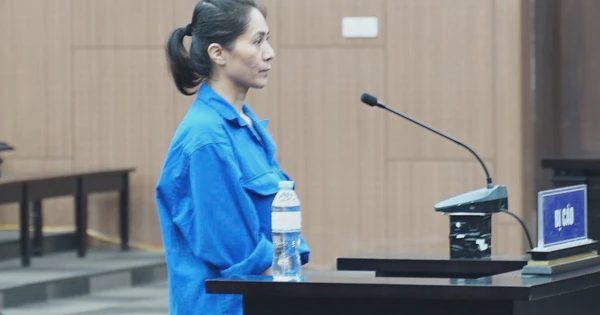Giám đốc tổ chức show 'Về đây bốn cánh chim trời' bị phạt 2 năm tù