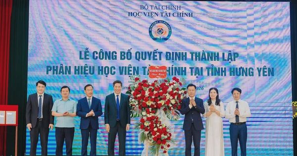 Giảm tối thiểu 20% đầu mối đại học công lập