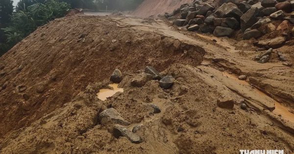 Gian nan giao thông kết nối rừng - biển: Từ ứng phó đến chủ động
