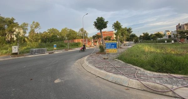Giao dịch đất nền phân lô có nên đưa vào luật để quản lý?