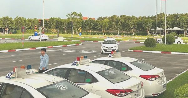Giáo viên dạy lái xe: Trình độ trung cấp hay chỉ cần tốt nghiệp THPT?