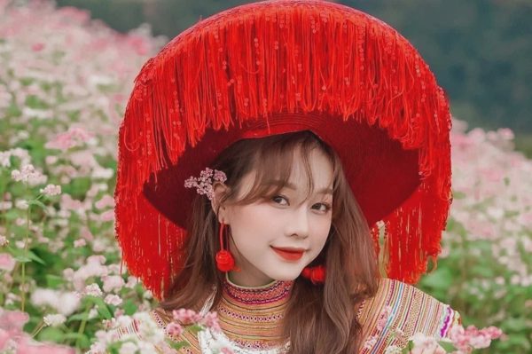 Gieo trồng 400ha hoa tam giác mạch để khách tới Tuyên Quang du lịch