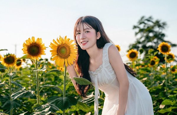 Giới trẻ đổ về săn ảnh ở cánh đồng hoa hướng dương lớn nhất Việt Nam